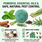 Last Day 50% OFF🟢 Natural Peppermint Rodent Repellent Tablets – 12 Pack
