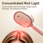 💆‍♀️ 3-in-1 Spray Comb – Mist + Massage + Red Light, Anti-Frizz, Detangling