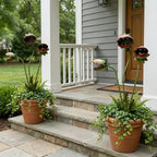 LAST DAY 49% OFF - Whimsical Metal Carnivorous Plant Garden Stake