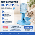 🐾 Automatic Pet Water Dispenser – Gravity Self Refilling Cat & Dog Water Bowl