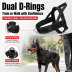 🐾No-Pull Reflective Dog Harness for Medium & Large Dogs, Comfortable Padded Vest with Dual D-Rings, Adjustable Anti-Pull Chest Harness for Walking & Training