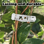 Reusable Plant Support Clips (100 clips)
