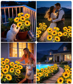 2026 UPGRADED Solar Sunflowers – Hyper-Realistic Petals, Stunning Shadow Projections & Dusk-to-Dawn Garden Magic 🌻