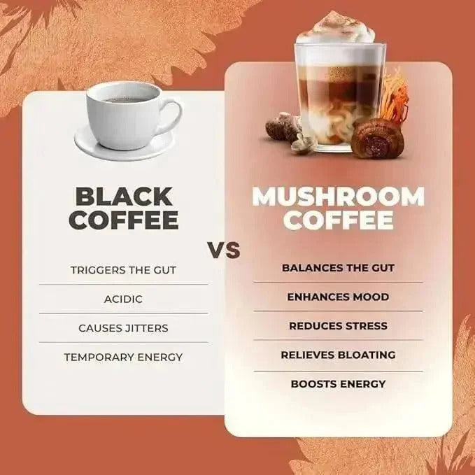 Mornis Ryze Mushroom Coffee pack of 30 servings showing a bag of mushroom coffee blend with natural ingredients and branding.